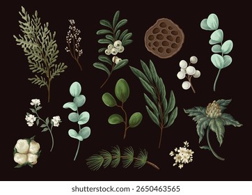 Conjunto botánico de Navidades de Vector con hojas verdes, bayas y flores.