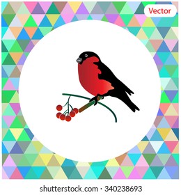 Vector Christmas card with bird bullfinch, Rowan berry tree branch