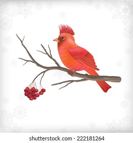 Vector Christmas card with bird waxwing, Rowan berry tree branch