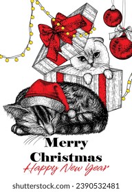 Vector Christmas card. A folded Siamese kitten in gift box with bow and tabby cat in santa hat in engraving style