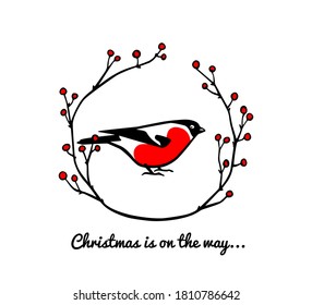 Weihnachtskarte mit handgezeichneter, süßer Stierfinke in blumenrotem Beerenkreu. Tintenzeichnung, schöne Design-Elemente. 