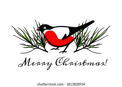 Vector Christmas card with hand drawn bullfinch in floral pine laurel. Ink drawing, beautiful design elements. 