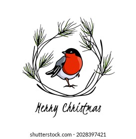 Vector Christmas card with hand drawn cute Bullfinch in pine branches wreath. Ink drawing, graphic style. Beautiful design elements.