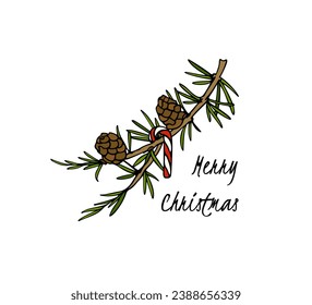 Tarjeta de navidad vectorial con una elegante rama de abeto dibujada a mano con un lollipop como decoración. Hermoso dibujo de tinta. Perfecto para saludos de temporada de vacaciones.