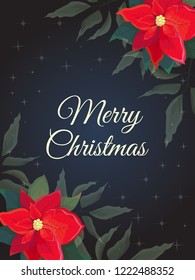 Vector Christmas card. Postcard with poinsettià. Dark background with stars. All elements are isolated