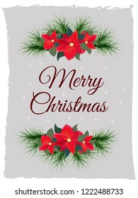 Vector Christmas card. Postcard with poinsettia and fir branches. All elements are isolated