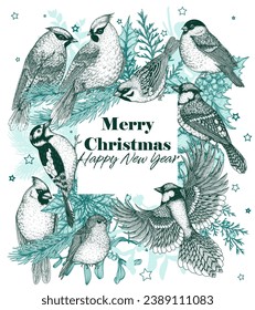 Vector Christmas card with winter birds and plants. Waxwing, robin, bullfinch, red cardinal, sparrow, woodpecker and blue jay in engraving style	