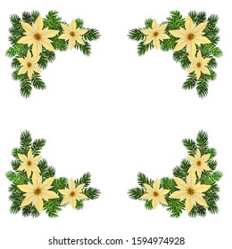 Vector. Christmas decoration: evergreens frame isolated