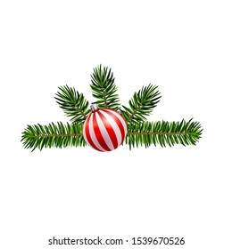 Vector. Christmas decoration: evergreens isolated