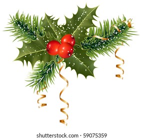 Vector. Christmas decoration: holly with berries.