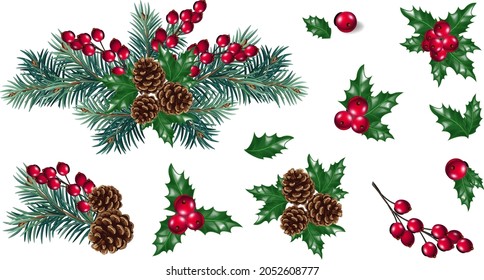 Vector Christmas decoration with pine tree branches and red berries. Christmas concept