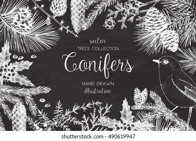 Vector Christmas design with conifers illustration on chalkboard. Vintage invitation or greeting card with hand drawn pine, spruce, cedar, cypress, fir, larch, juniper tree. Merry Christmas template