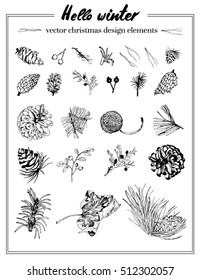Vector Christmas design elements. Cones, berries and fir branches etc. Vector illustration in retro graphic engraving style. Line art
