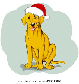 vector Christmas dog