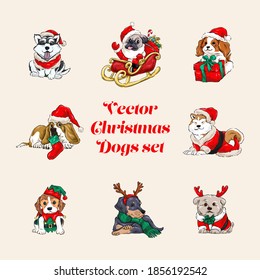 Vector Christmas Dog Illustration Set