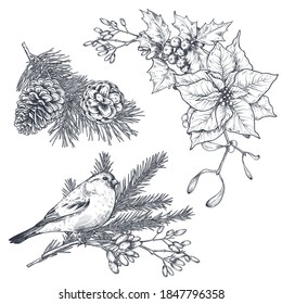 Vector Christmas floral arrangements for greeting card or invitation with hand drawn winter plants, pine cones, flowers, bird. Black and white vector illustration