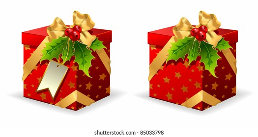 Vector Christmas gift