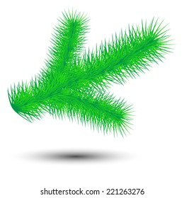 vector Christmas green conifer twig isolated on white background
