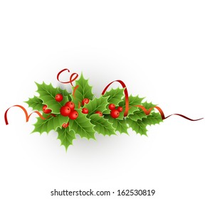 Vector Christmas holly with berries. 