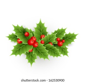 Vector Christmas holly with berries. 