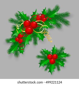 Vector Christmas holly with berries. eps10 illustration