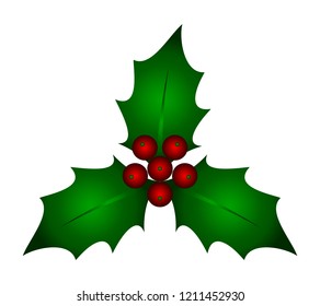 vector christmas holly isolated on white background