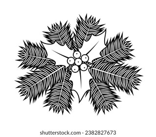 navidad vectorial holly y ramitas aisladas en fondo blanco