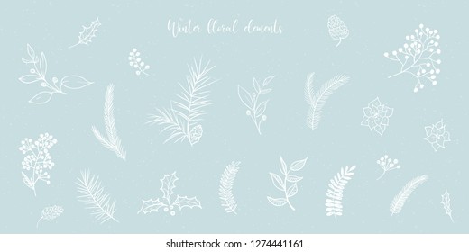 Vector Christmas illustration collection of floral fir tree branches on blue snowy craft background. Winter design. Merry Christmas and Happy New Year!