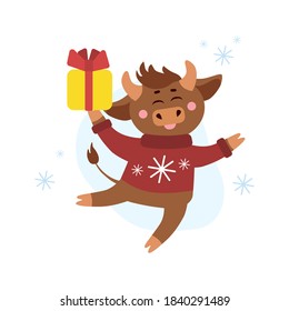 Vector christmas illustration of cow, ox or bull with present box or gift in ugly sweater around snow flakes. Year of bull 2021 concept. Christmas holidays, xmas illustration