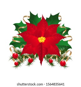 Vector Christmas illustration with fir branches covered with hoarfrost, decorated with serpentine with holly berries and leaves and red poinsettia.
