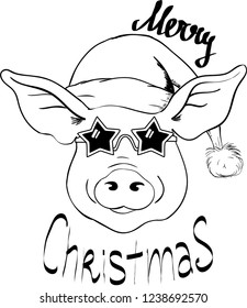 Vector Christmas illustration of Pig in Santa hat and star glasses. Lettering Merry Christmas