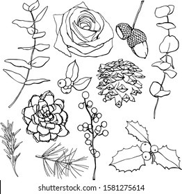 Vector Christmas linear set with floral symbols. Hand painted eucalyptus, acorn, pine cones, rose and holly isolated on white background. Holiday illustration for design, print, fabric or background.