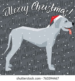 Vector Christmas polygon dog collection. Dog in Christmas Santa hat. Great Dane