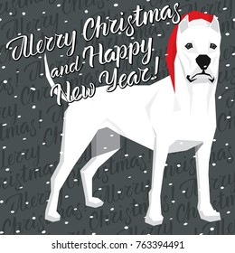Vector Christmas polygon dog collection. Dog in Christmas Santa hat. Dogo Argentino