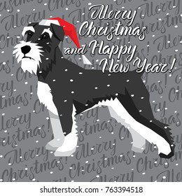 Vector Christmas polygon dog collection. Dog in Christmas Santa hat. Miniature Schnauzer