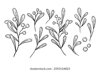 Vector Christmas set with branches, leaves and berries. Hand drawn festive greenery with red berries. Botanical illustration for design, print, fabric or background, greetings, cards. Vector graphics