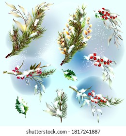 Vector Christmas set with fir branches and festive decorations.