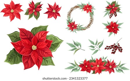 Vector Christmas Set. Red poinsettia, green leaves, berries, wreath of branches. Christmas flowers compositions on white background 