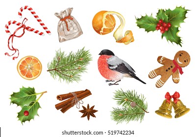 Vector Christmas set with traditional decoration, Christmas tree branches and sweets and bullfinch. Design for Christmas sale, greeting card, Christmas party invitation, flyer. Isolated on white