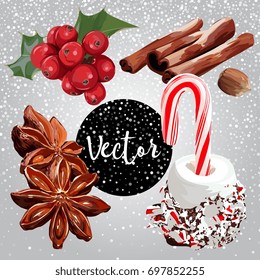 Vector Christmas Sweets Illustration Set