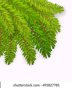Vector christmas tree branch on white background