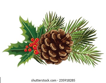 Vector Christmas Tree Branch With Pine Cone And Mistletoe