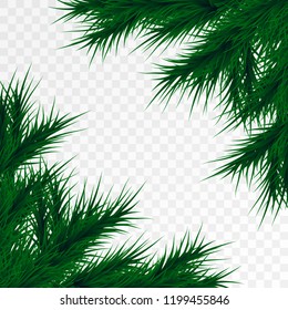 Vector christmas tree branches on white background. Pine tree decoration template. Christmas frame illustration, space for text.