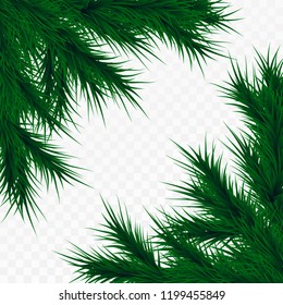 Vector christmas tree branches on white background. Pine tree decoration template. Christmas frame illustration, space for text.