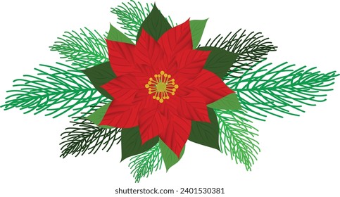 Vector Christmas tree branches and red poinsettia flower in a holiday line arrangement on a white  background