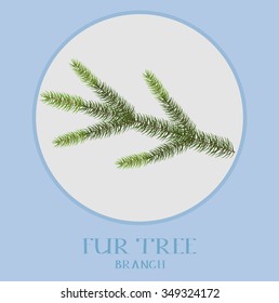 Vector Christmas tree branches for your design . Easy to make your own one.