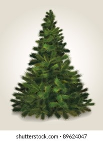 Vector Christmas tree. Realistic illustration of fluffy pine tree