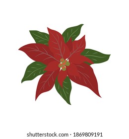 Vector de la flor estrella cristiana.Poinsettia.Aislado sobre fondo blanco