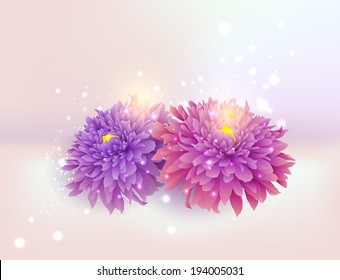 Vector chrysanthemum flower - Illustration