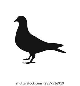 Vector chukarhuhn vector graphic design.